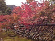 光悦寺