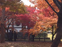 東福寺