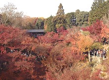 通天橋