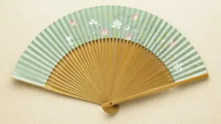 なでしこ（うす緑）